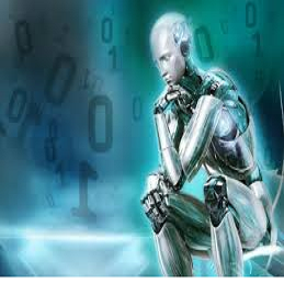 Tracy - Web Designer